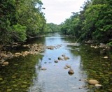 Creek Shannonhogan