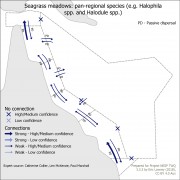 Seagrass meadows: pan-regional species (e.g. Halophila spp. and Halodule spp.)