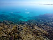 Example of a functioning coral reef ecosystem