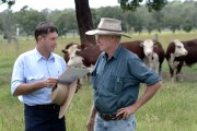 Qld Dept of Primary Industry     photos by Bruce Miller 1/2005