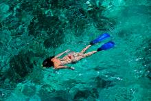 Reef snorkeler