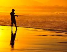 Recreational beach fisher C Matt Curnock