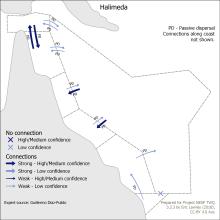 Halimeda