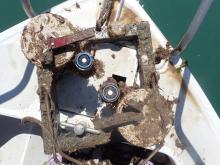 Light loggers deployed in seagrass meadows