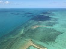 Aerial view of a seagrass meadow at Clack Reef.