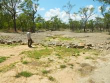 Alluvial gully rehabilitated in 2016 at Crocodile Station