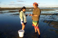Collection of seagrass