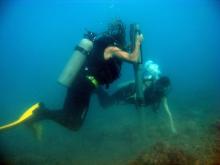 Coral coring