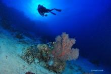 Exploring the deep blue