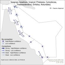 Seagrass meadows: tropical (Thalassia, Cymodocea, Thalassodendron, Enhalus, Rotundata)