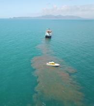 Water quality analysis of a sediment plume from maintenance dredging in Cleveland Bay