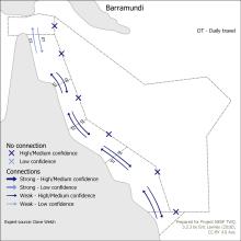 Barramundi
