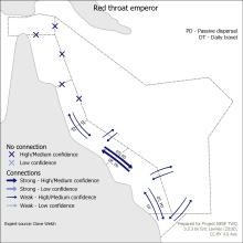 Red throat emperor