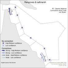 Mangroves & saltmarsh