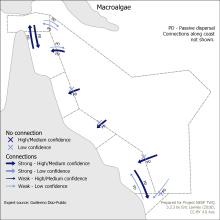 Macroalgae