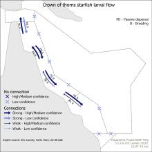 Crown of thorns starfish larval flow