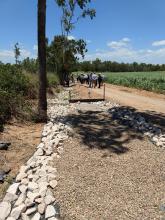 In-line bioreactor on a Burdekin cane farm