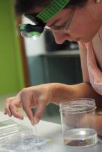 Counting Coral Larvae