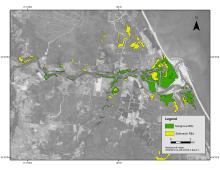 Map of tidal wetlands (mangroves and salmarsh) around Baffle Creek