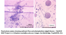 Microscope images of the suspended particulate matter in flood plume samples