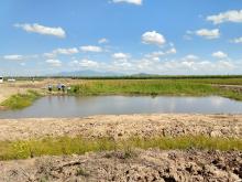 Constructed treatment wetland on a Burdekin cane farm - general view