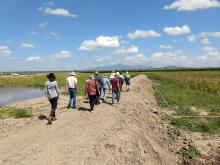 Constructed treatment wetland on a Burdekin cane farm - central berm (raised earth bank)