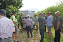 On-site field visit with Project 25 scientists and CANEGROWERS Environment Committee (February 2018)