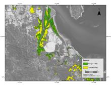Map of tidal wetlands (mangroves and salmarsh) around Boyne Creek