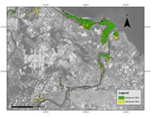 Map of tidal wetlands (mangroves and salmarsh) around Burnett River