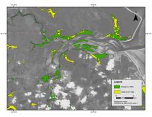 Map of tidal wetlands (mangroves and salmarsh) around Burrum River