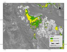 Map of tidal wetlands (mangroves and salmarsh) around Calliope River