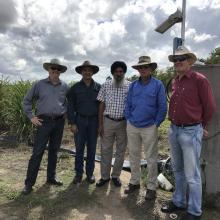 Canegrowers Russell Jordan Farm