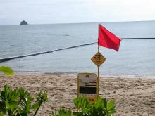 Stinger-resistant swimming enclosures only protect against box jellyfish. Beaches must still be closed when much smaller Irukandji are present.