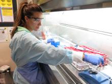 Coral symbiont growth test for herbicides