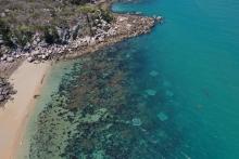 Larvae enhancement plots in a coral restoration experiment at Magnetic Island