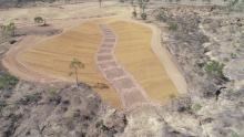 Strathalbyn Station 1 gully rehab site