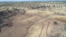 Strathalbyn Station 2 gully rehab site