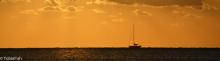 Sailing Whitsundays on sunset