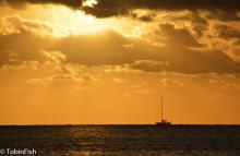 DSC_1547.JPG