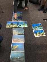 GBR picture ranking by First People participants _Round 1