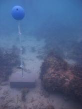 Dugong Island - Torres Strait Temperature Logger (Flat Logger: DUGONGFL1)