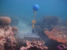 Warraber Island - Torres Strait Temperature Logger (Flat Logger: WARRABERFL1)