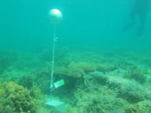 Iama Island - Yam - Torres Strait Temperature Logger (Flat Logger: YAMFL1)