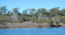 The Southern GBR study area