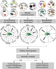 Framework to assess and protect ecosystem functioning on the Great Barrier Reef