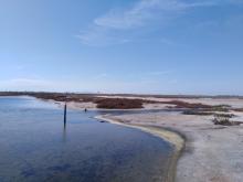 Ponded pasture restoration