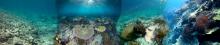 Reefs over time