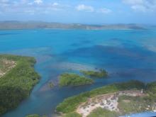 Horn Island - Mangroves and mud flats
