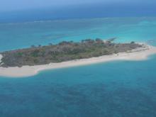 Dugong Island - Aerial view