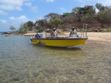 Deploying loggers at Moa Island (Kubin)